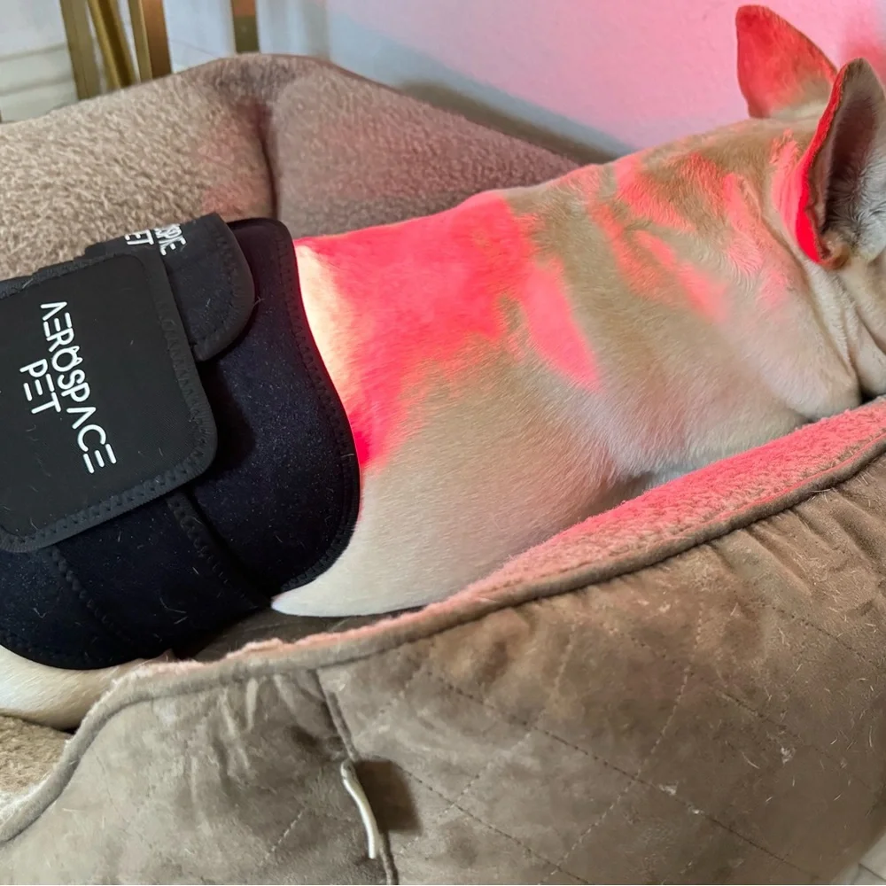 Pet Red Light Therapy Pad, Infrared Light for Joint and Muscle Pain Relief